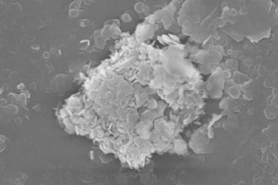 POLVO DEL NITRURO DE BORO APLICADO AL MATERIAL REFRACTARIO Y SUPERHARD DE ALTO GRADO